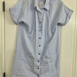 Blue and White Striped Button-Down Dress